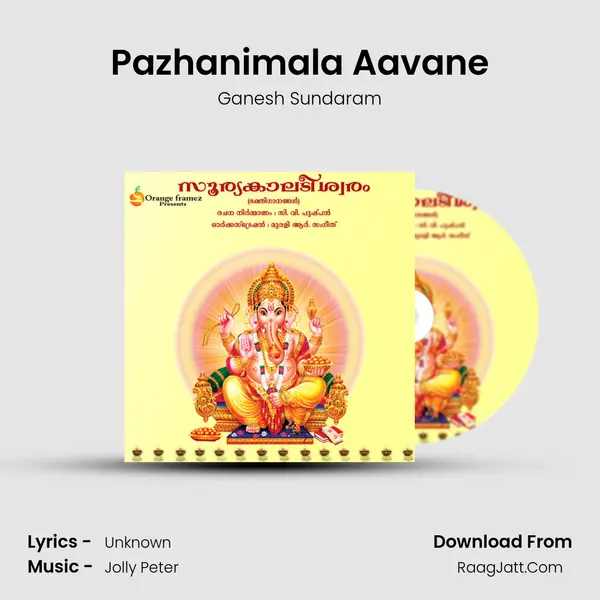 Pazhanimala Aavane MP3 Song by Ganesh Sundaram Cover