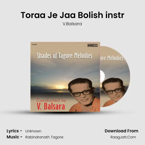 Toraa Je Jaa Bolish instr MP3 Song by V.Balsara Cover