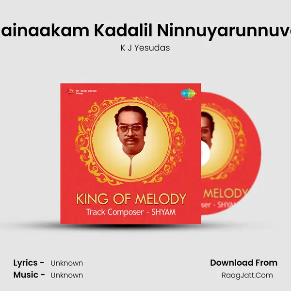 Mainaakam Kadalil Ninnuyarunnuvo (Male) Cover