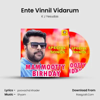 Ente Vinnil Vidarum Cover