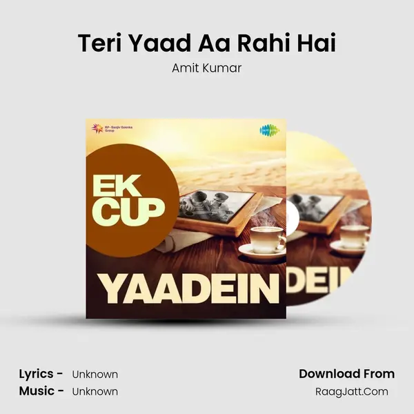 Teri Yaad Aa Rahi Hai Cover