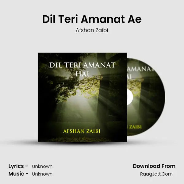 Dil Teri Amanat Ae MP3 Song by Afshan Zaibi Cover
