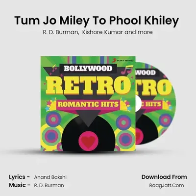 Tum Jo Miley To Phool Khiley (From "Mil Gayee Manzil Mujhe") Cover