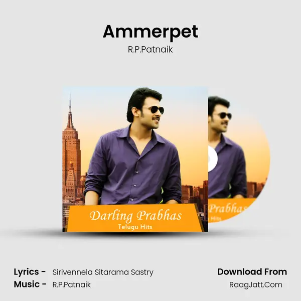 Ammerpet Cover