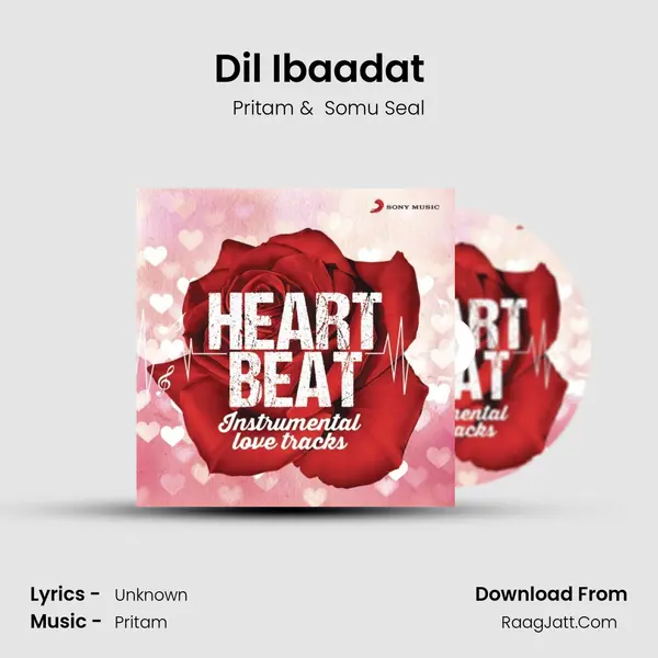 Dil Ibaadat (From Tum Mile) (Instrumental) mp3 song