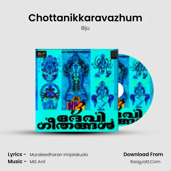 Chottanikkaravazhum MP3 Song by Biju Cover