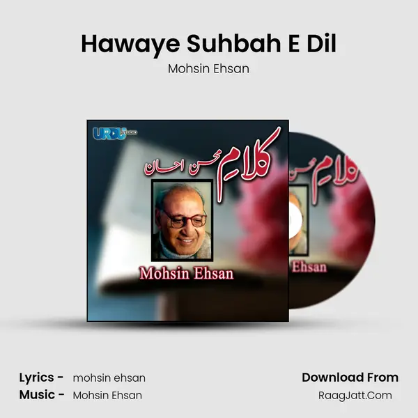 Hawaye Suhbah E Dil MP3 Song by Mohsin Ehsan Cover