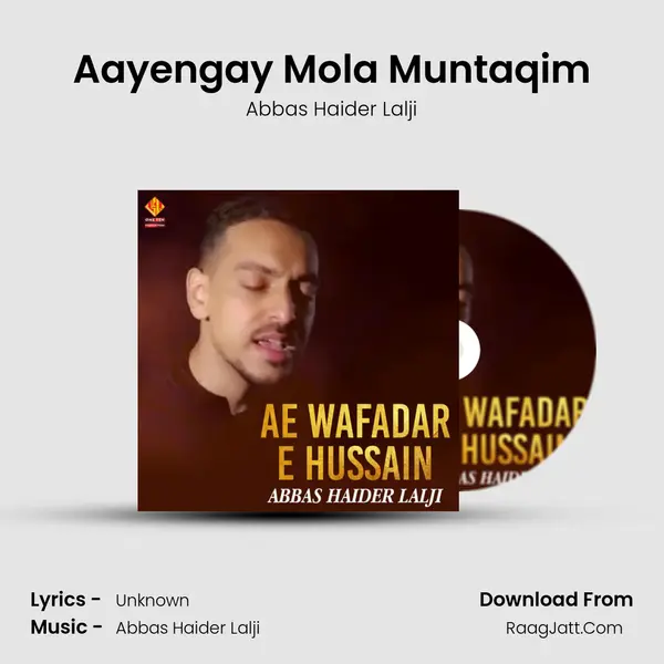 Aayengay Mola Muntaqim mp3 song