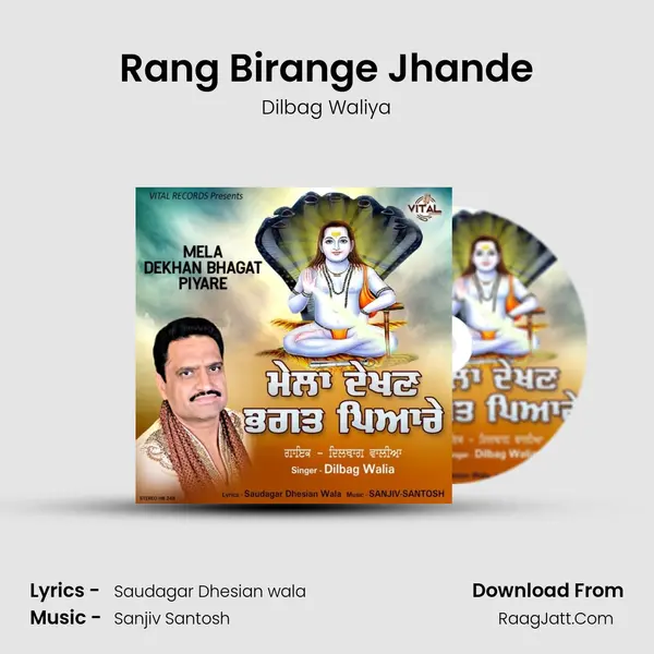 Rang Birange Jhande Cover