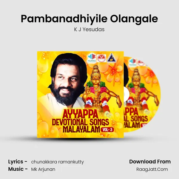 Pambanadhiyile Olangale mp3 song
