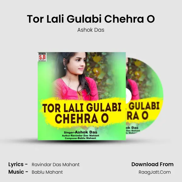 Tor Lali Gulabi Chehra O mp3 song