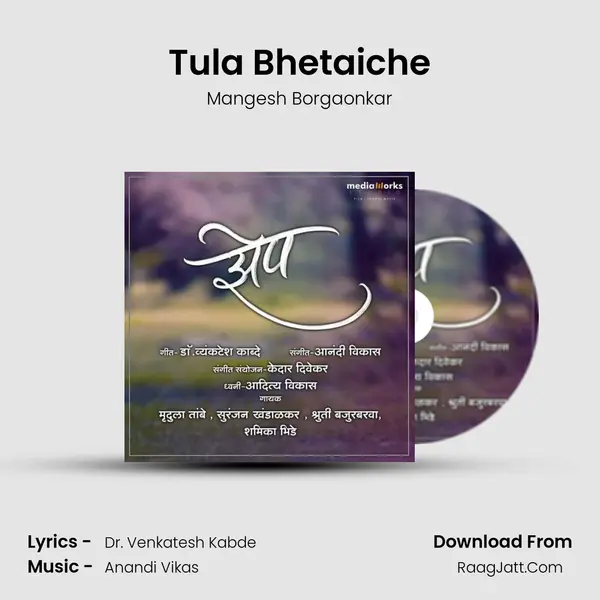 Tula Bhetaiche MP3 Song by Mangesh Borgaonkar Cover