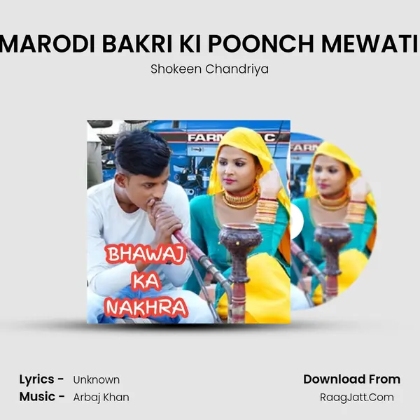 SADA MARODI BAKRI KI POONCH MEWATI SONG Cover