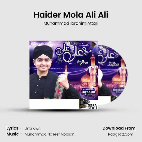 Haider Mola Ali Ali mp3 song