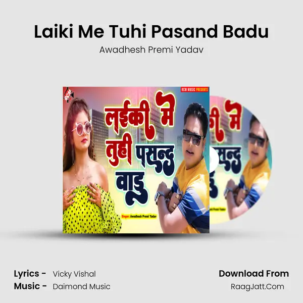 Laiki Me Tuhi Pasand Badu mp3 song
