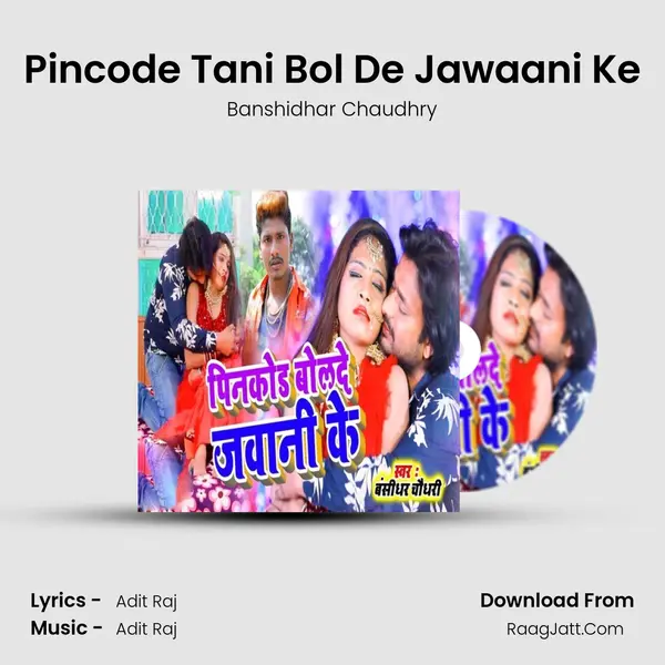 Pincode Tani Bol De Jawaani Ke MP3 Song by Banshidhar Chaudhry Cover