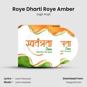 Roye Dharti Roye Amber Cover