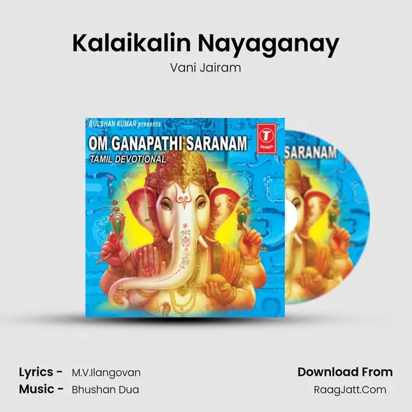 Kalaikalin Nayaganay MP3 Song by Vani Jairam Cover