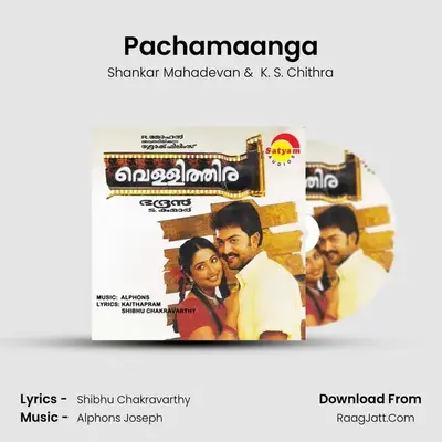 Pachamaanga MP3 Song by Shankar Mahadevan Cover