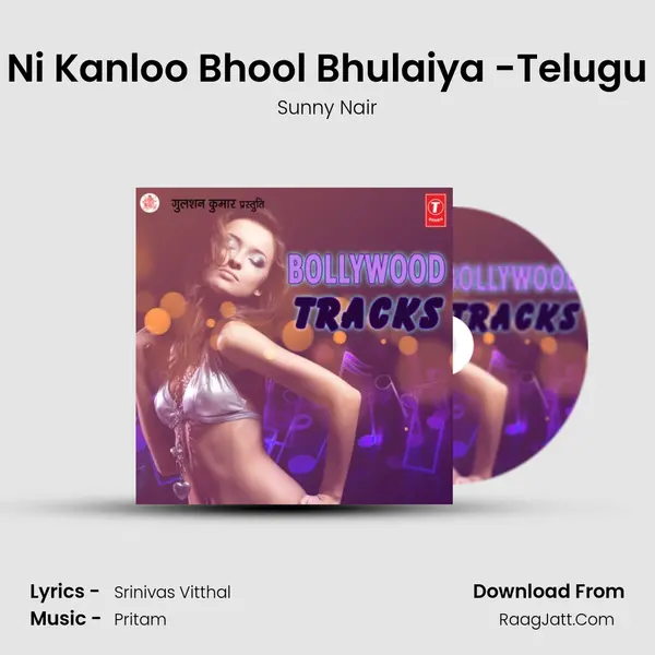 Ni Kanloo Bhool Bhulaiya -Telugu MP3 Song by Sunny Nair Cover