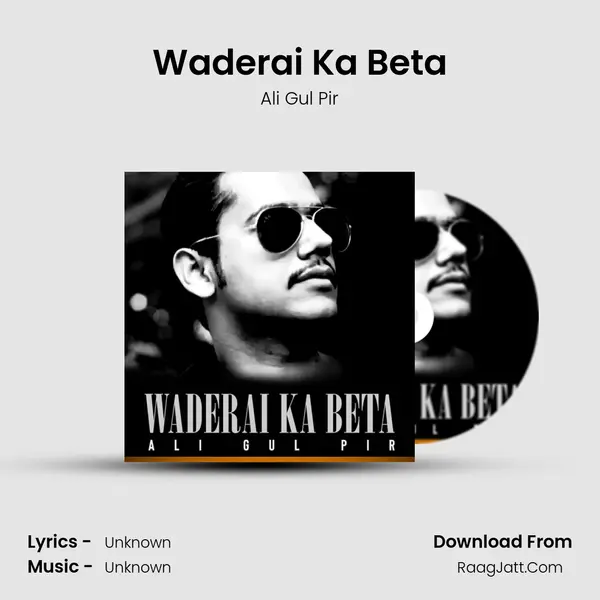 Waderai Ka Beta MP3 Song by Ali Gul Pir Cover