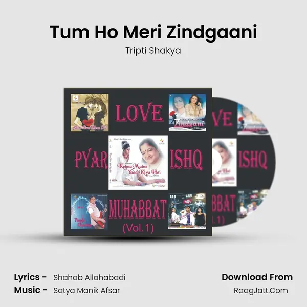 Tum Ho Meri Zindgaani Cover