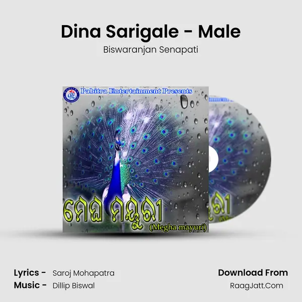 Dina Sarigale - Male MP3 Song by Biswaranjan Senapati Cover