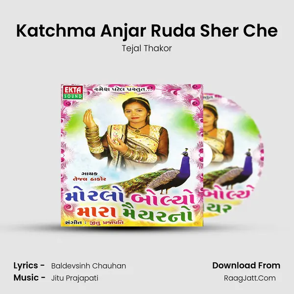 Katchma Anjar Ruda Sher Che MP3 Song by Tejal Thakor Cover