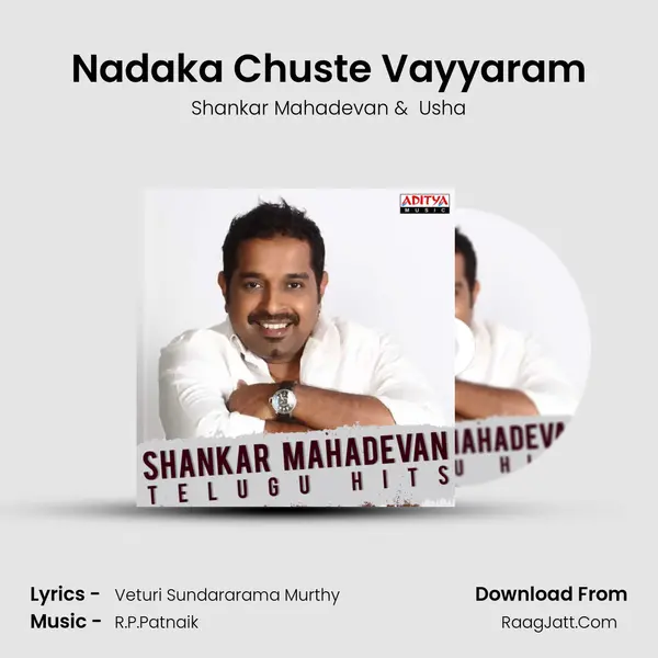 Nadaka Chuste Vayyaram MP3 Song by Shankar Mahadevan Cover