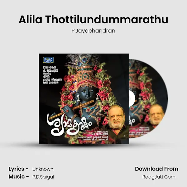 Alila Thottilundummarathu mp3 song