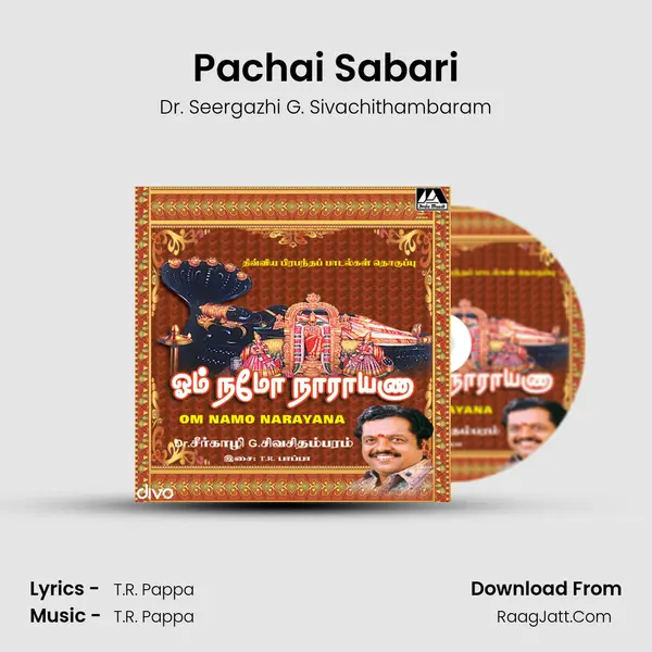 Pachai Sabari MP3 Song by Dr. Seergazhi G. Sivachithambaram Cover