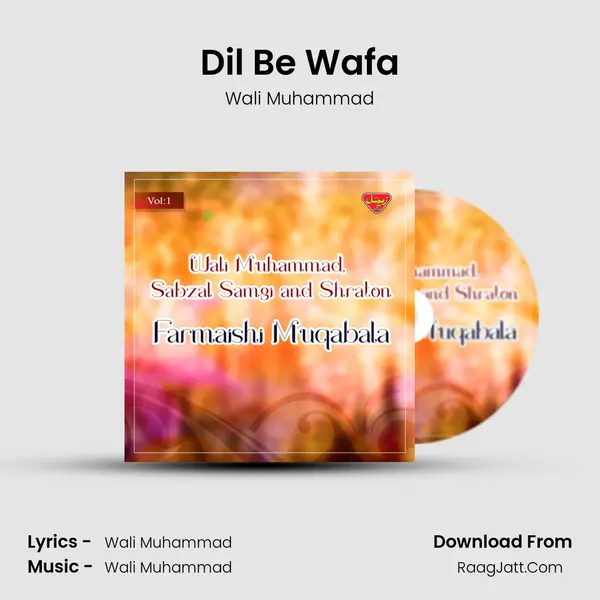 Dil Be Wafa MP3 Song by Wali Muhammad Cover
