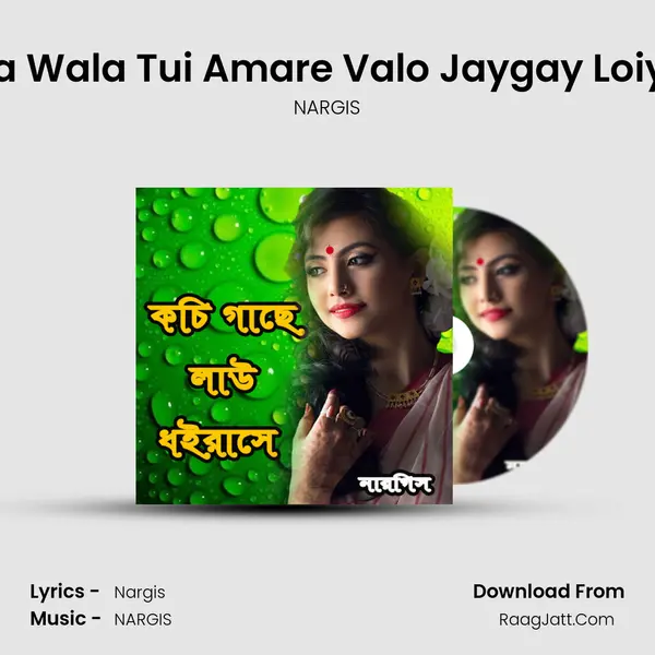 Riksha Wala Tui Amare Valo Jaygay Loiya Ala MP3 Song by NARGIS Cover