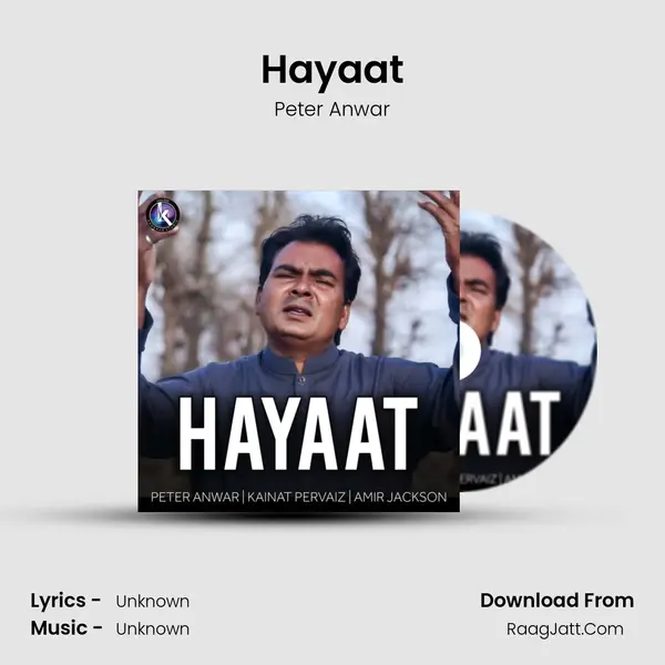 Hayaat MP3 Song by Peter Anwar Cover