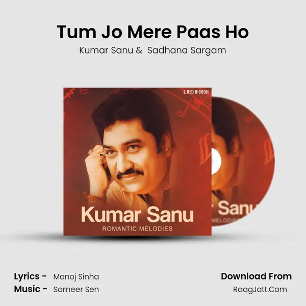 Tum Jo Mere Paas Ho Cover