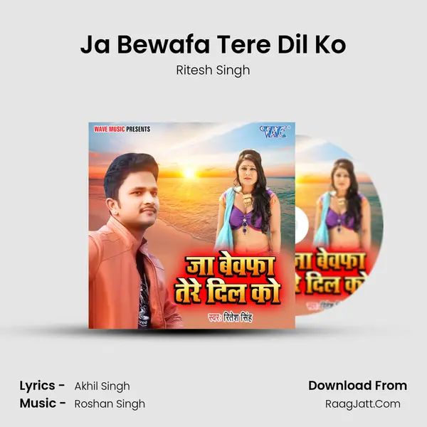 Ja Bewafa Tere Dil Ko Cover
