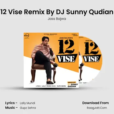 12 Vise Remix By DJ Sunny Qudian mp3 song