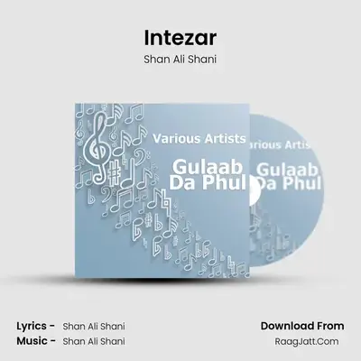 Intezar MP3 Song by Shan Ali Shani Cover