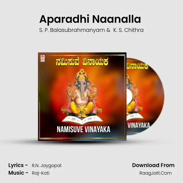 Aparadhi Naanalla (From "Rayaru Bandaru Maavana Manege") Cover