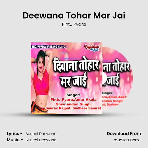 Deewana Tohar Mar Jai MP3 Song by Pintu Pyara Cover