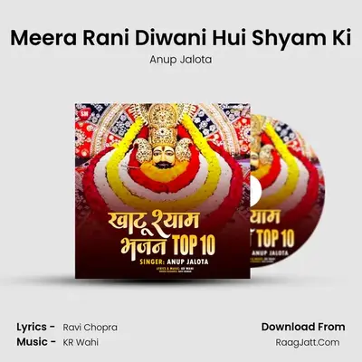 Meera Rani Diwani Hui Shyam Ki Cover