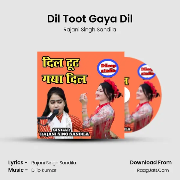 Dil Toot Gaya Dil Cover