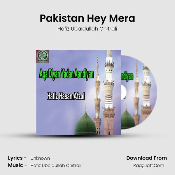 Pakistan Hey Mera MP3 Song by Hafiz Ubaidullah Chitrali Cover