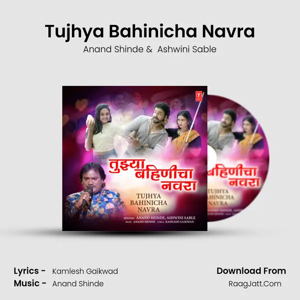 Tujhya Bahinicha Navra - Anand Shinde