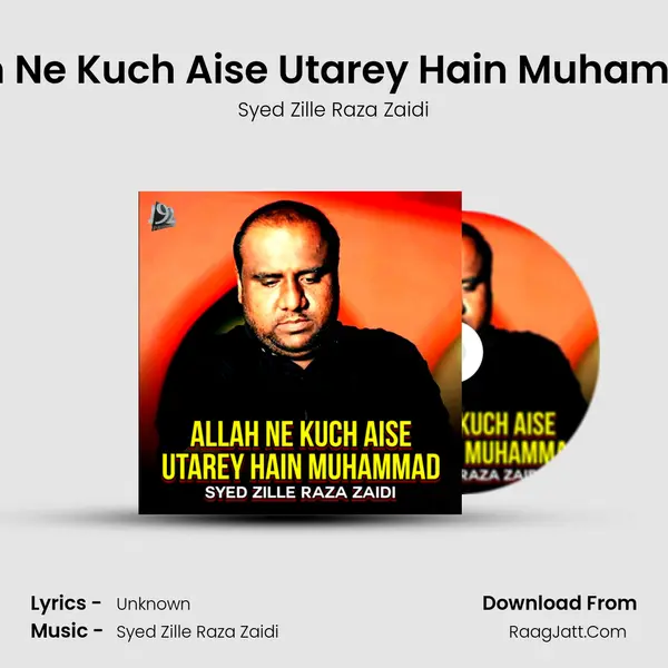 Allah Ne Kuch Aise Utarey Hain Muhammad - Single - Syed Zille Raza Zaidi