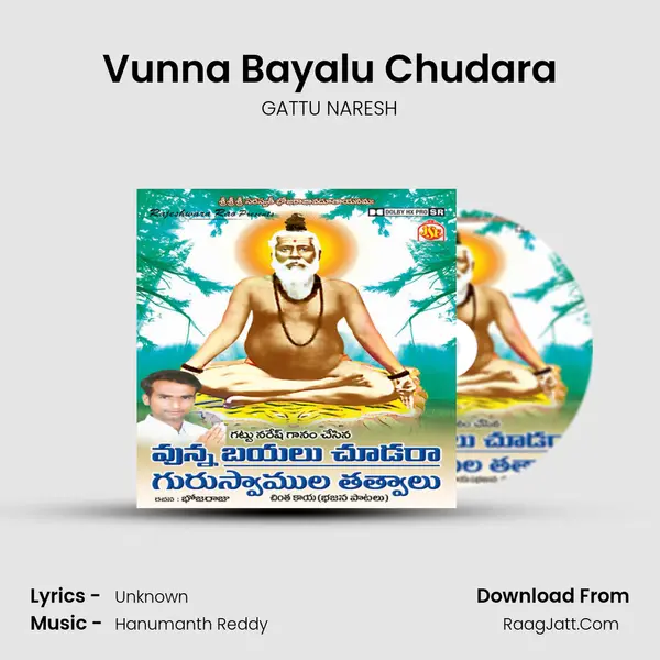 Vunna Bayalu Chudara MP3 Song by GATTU NARESH Cover