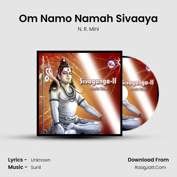 Om Namo Namah Sivaaya MP3 Song by N. R. Mini Cover