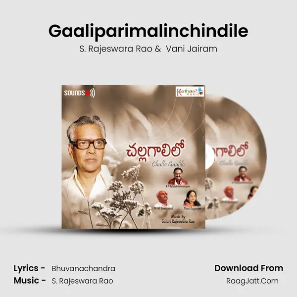 Gaaliparimalinchindile MP3 Song by S. Rajeswara Rao Cover