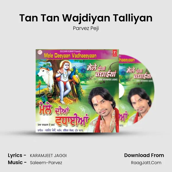 Tan Tan Wajdiyan Talliyan MP3 Song by Parvez Peji Cover