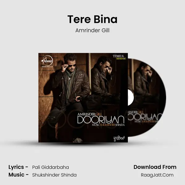 Tere Bina MP3 Song by Amrinder Gill Cover